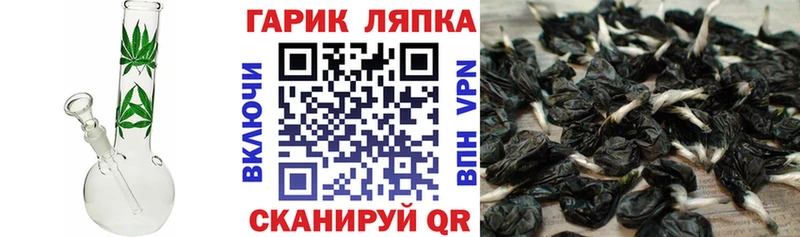ГАШ 40% ТГК  Видное 