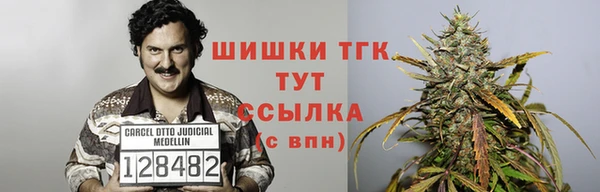 спиды Карпинск