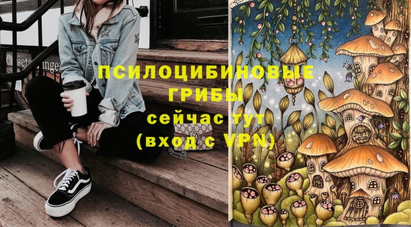 спайс Касимов