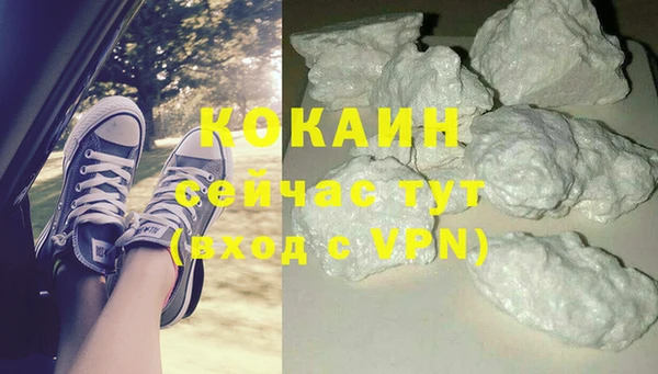 стаф Нефтегорск