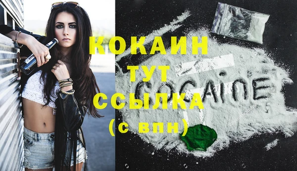 спайс Касимов