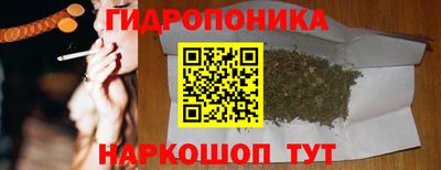 Альфа ПВП Будённовск