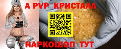 Альфа ПВП Будённовск