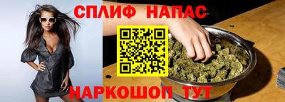 Альфа ПВП Будённовск