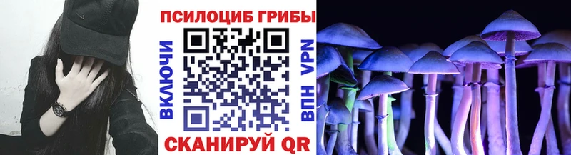 Галлюциногенные грибы Cubensis  площадка телеграм  Видное  купить закладку 