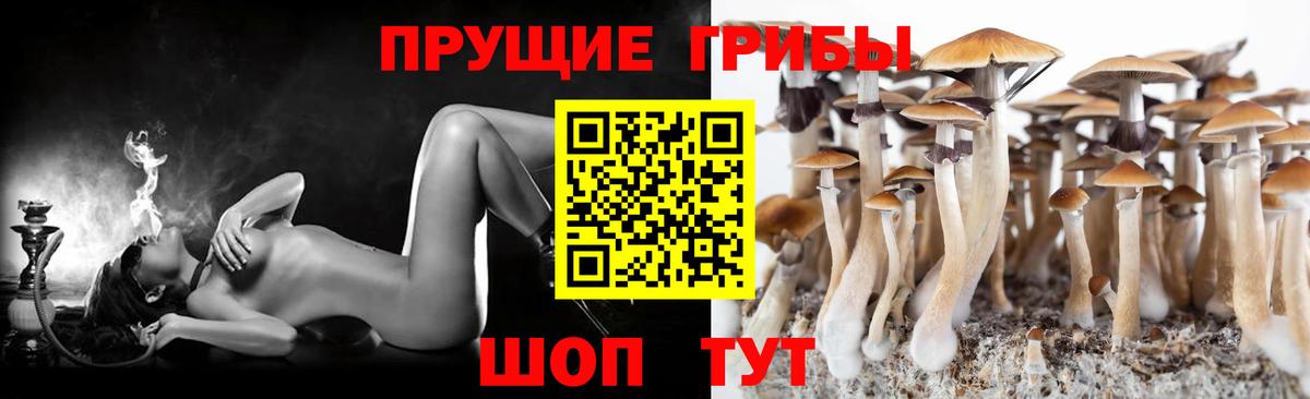 Галлюциногенные грибы мицелий Видное